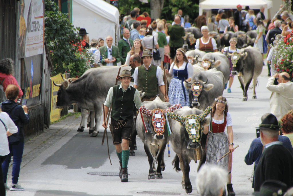 Viele Menschen und Kühe beim Almabtrieb